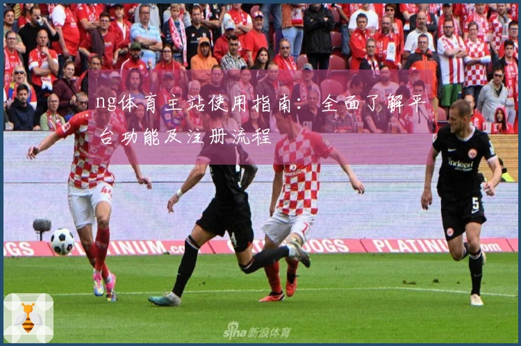 ng体育主站使用指南：全面了解平台功能及注册流程