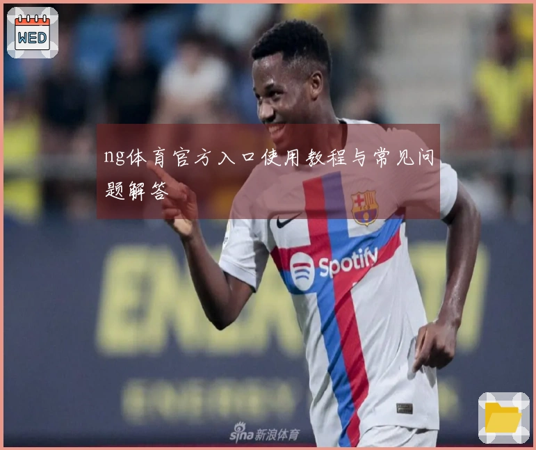 ng体育官方入口使用教程与常见问题解答