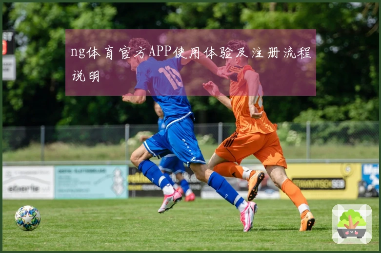ng体育官方APP使用体验及注册流程说明