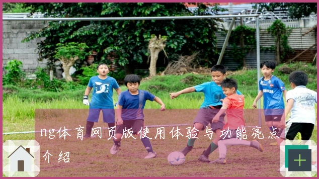ng体育网页版使用体验与功能亮点介绍
