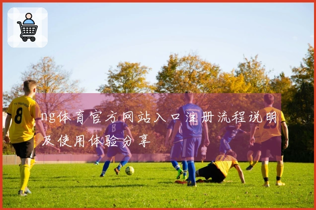 ng体育官方网站入口注册流程说明及使用体验分享