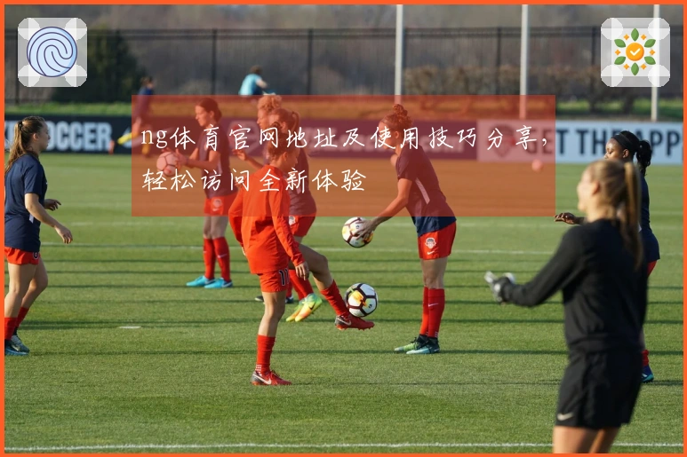 ng体育官网地址及使用技巧分享,轻松访问全新体验