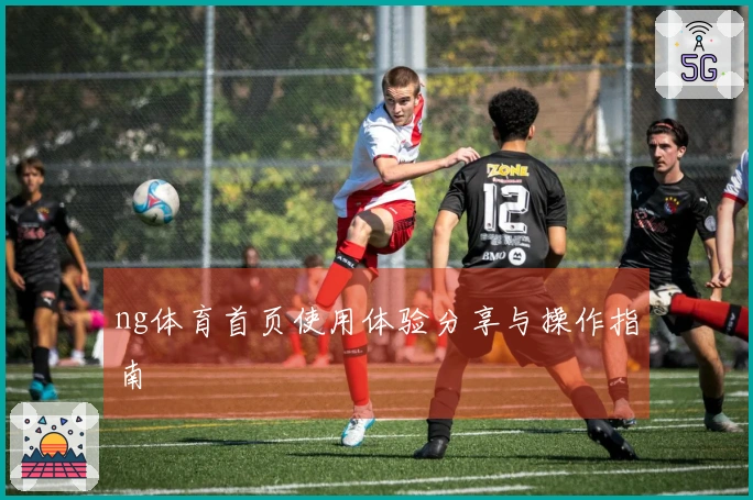 ng体育首页使用体验分享与操作指南