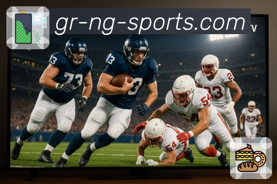 安全监控流程示意